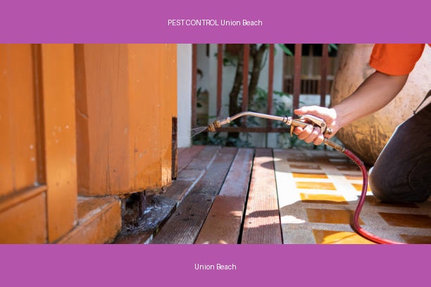 PEST CONTROL Union Beach